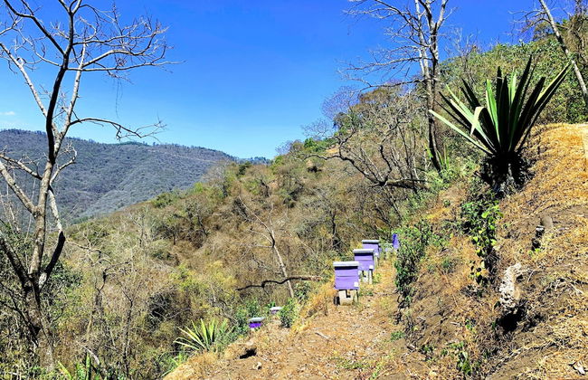 Finca El Tambor - Foto 47