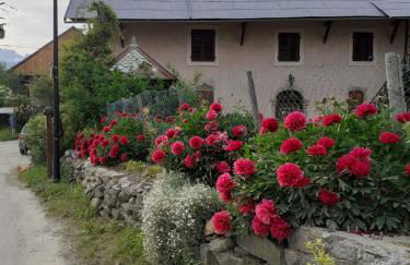 appartement edlweiss 4 pers dans gite"la maison d'augustin" classé 3 étoiles, la tour,73530 st jean d'arves - Foto 32