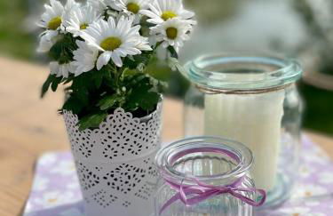 Pension und Ferienwohnung am Teich - Foto 25