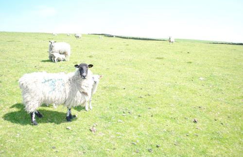 The Stables at Brambles Farm - Photo 80