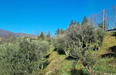 All ' ombra del lauro - Foto 9