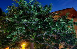 Le Panoramic - Photo 49