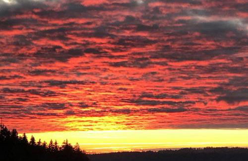 Appartement proche de la ville et du parc du Truchet - Foto 25