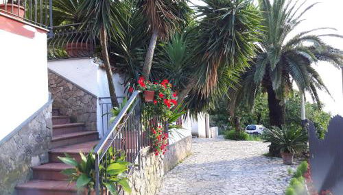 La Casa del Sole - Foto 4, Garden