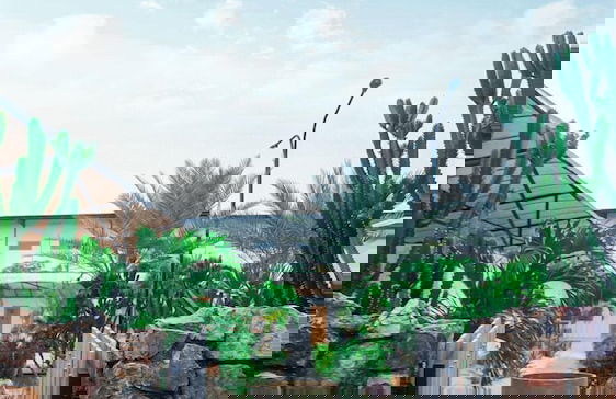 Danka Vacation Home - Foto 41