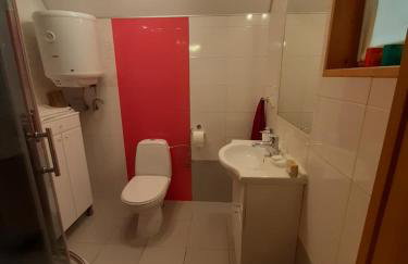 Domek letniskowy nad stawem Temeszów Bieszczady - Foto 2