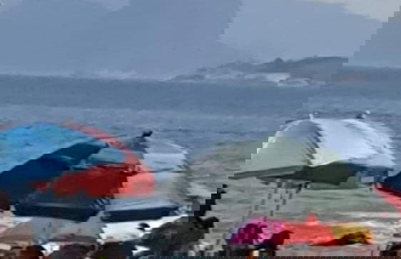 Andorinhas - Foto 51