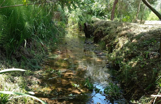 Alojamiento Rural Las Maravillas - Foto 49