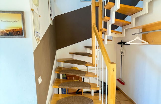 Ferienhof Schulz - Foto 6