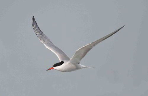 Seevilla Wietjes Whg 5 - Foto 24