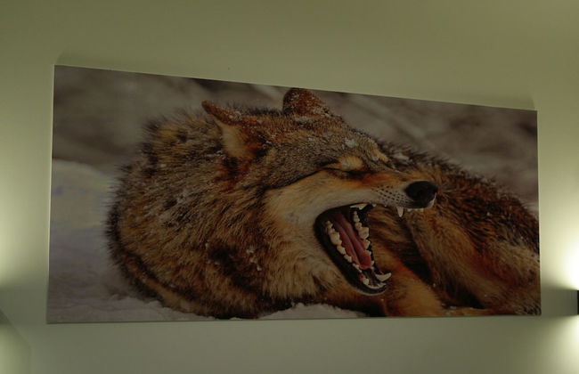 Casa da fonte - Foto 20