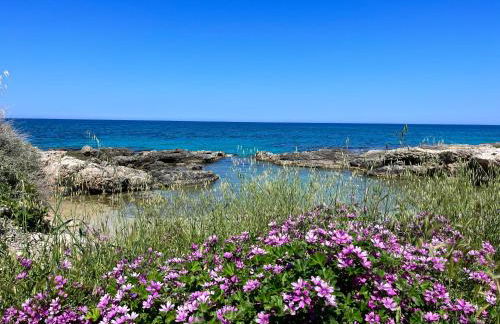 VILLA GIORGIA - Foto 30