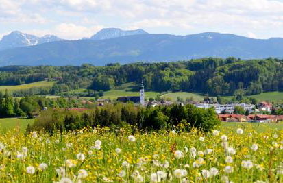 Ferienhaus Waldherr - Fewo 6 Pers - Photo 24