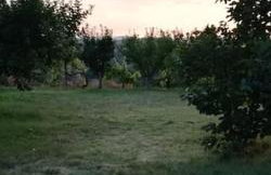 Peaceful cottage with incredible panoramic view - Foto 48