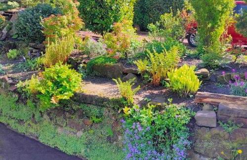 The Old Smiddy Cottage and Apartment - Foto 16