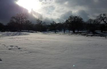 Beautiful Mountain Home - Photo 16