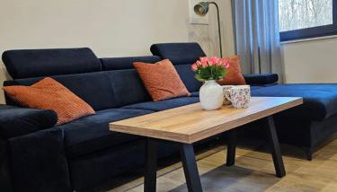 Apartament Vici nad jeziorem Nyskim - Foto 3