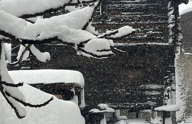 Historic Apartment in the old Village of Naters - Photo 62