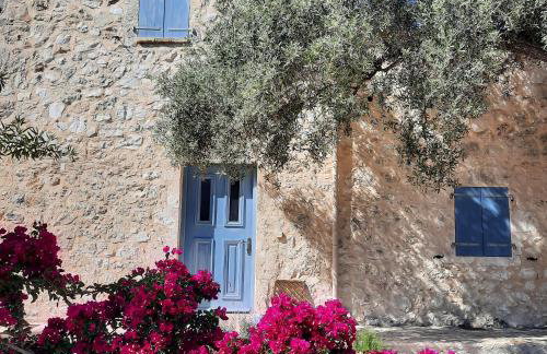 Mathilda's House - Foto 2