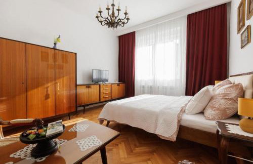 Vlaška Noir - Photo 5