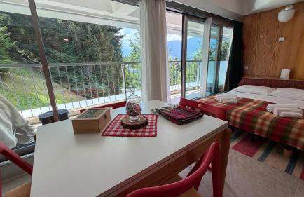 Appartamento Cinzia Residence Solaria Marilleva 1400 - Foto 52