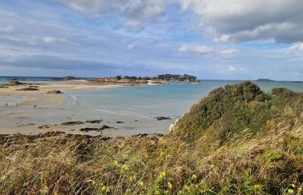 maison de pécheur typique presqu’île Saint Jacut Sur Mer - Foto 43