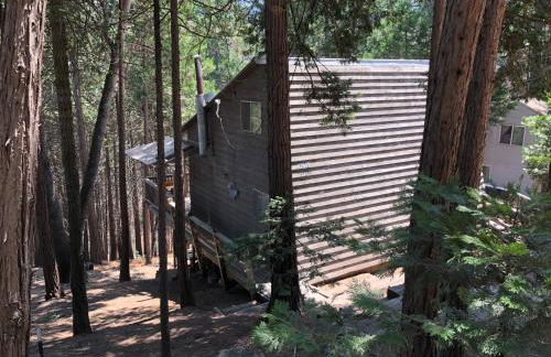 Sequoia National Forest CabinK - Foto 19