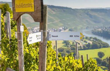 Ferienhaus mit Whirlpool und Sauna - Foto 18