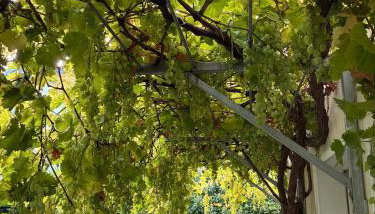 Attic apartment in a listed villa - Foto 4