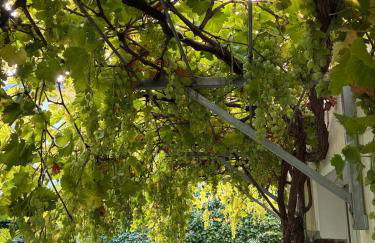 Attic apartment in a listed villa - Foto 4