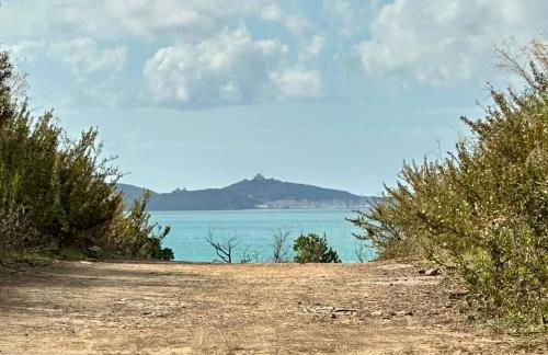 Maremma 1851 - Photo 76