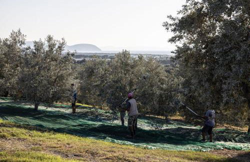 Agriturismo Podere L'Agave - Foto 92