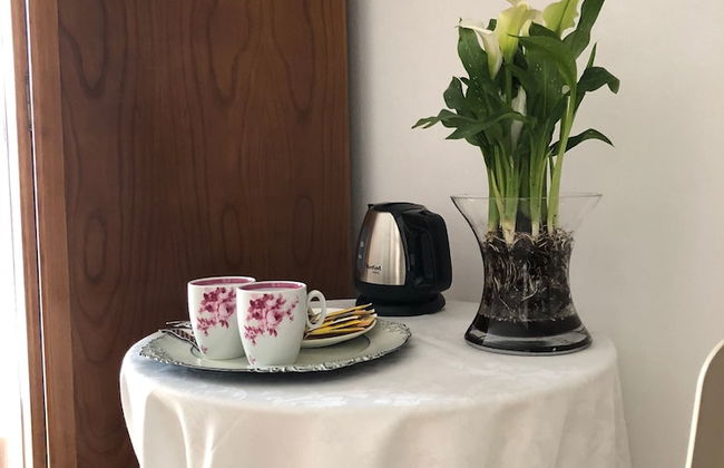 Terra Luso - Foto 43