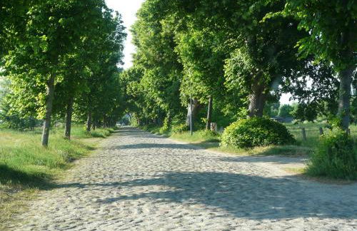 Appartement auf Rügen - Foto 40