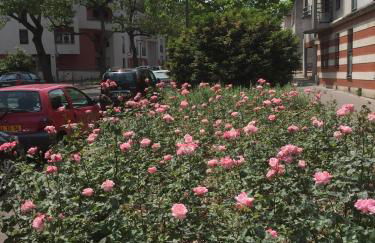 T2 Tout confort TV 55' avec canal séries netflix Disney Dazen Bein sport apple TV OCS paramount prime vidéo - Foto 21