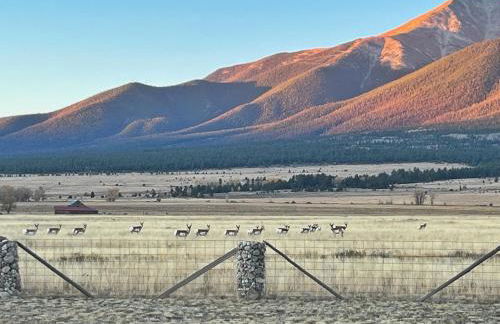 Buena Vista Mountain Retreat - Ultimate Privacy with Spa & Unbeatable Views - Foto 50