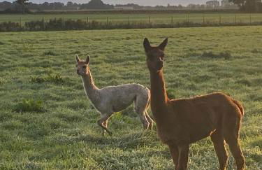 Natures-Rest Wielen "Mendhoo" - Foto 28