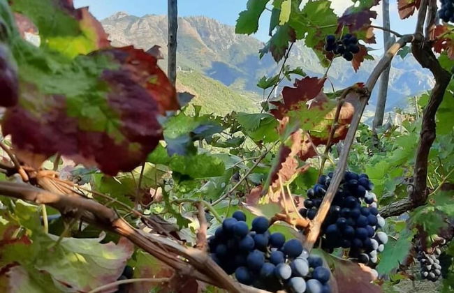 Agriturismo Il Raduno - Foto 48