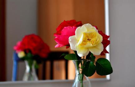 Apartment Stjepan - Foto 34