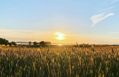 Bungalow Seeblick Am Achterwasser - Foto 34