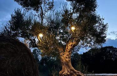 Trullo Dimora Podere Papilio - Photo 51