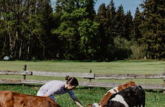 4 Sterne Ferienwohnung Hochries - Foto 33