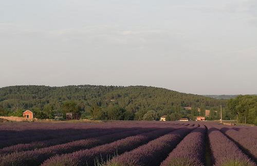 Côté Terrasse - Photo 25
