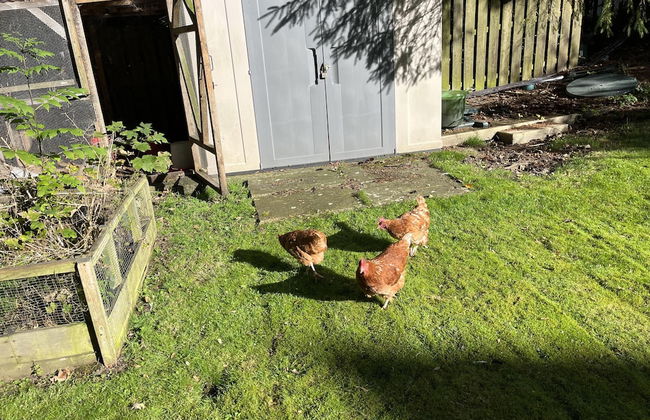 Blaydonburn - Sleeps 4,5 - Parking - Hottub - Yard - Photo 39