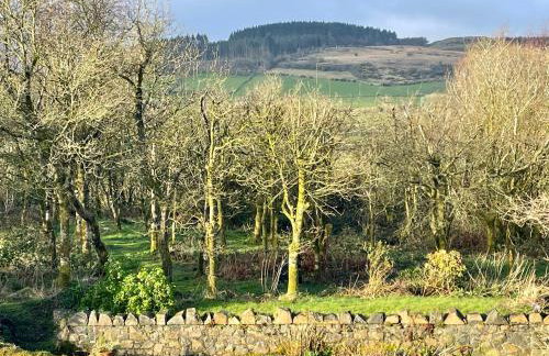 Clonaslee House - Foto 41