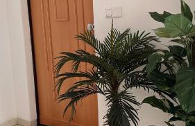 Garden Suite - Foto 12