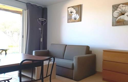 CHEZ ADRIEN 108-Appartement magnifique vue mer piscine chauffée - Foto 30