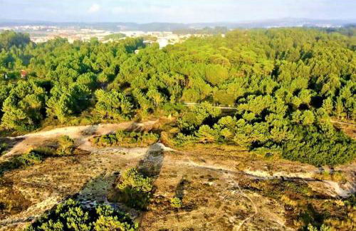 Pé n'Areia Guesthouse - Foto 26