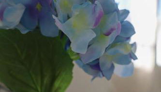 L'émeraude - Foto 3