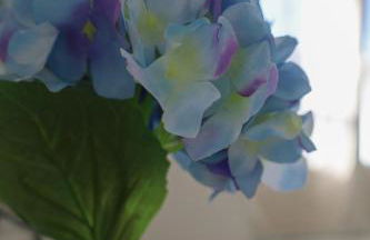 L'émeraude - Foto 3